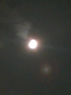 月の拡大写真。綺麗に撮れた。